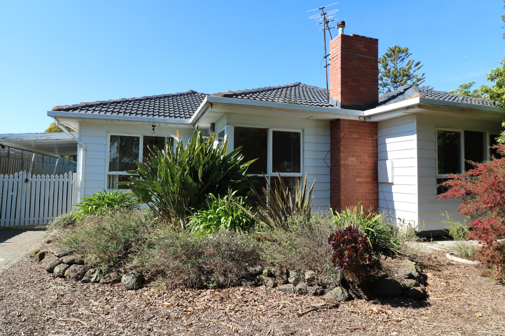5 Graylea Avenue Herne Hill, VIC 3218 For Rent Barry Plant